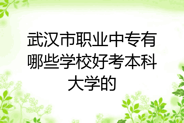 武汉市职业中专有哪些学校好考本科大学的