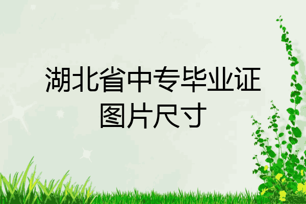 湖北省中专毕业证图片尺寸