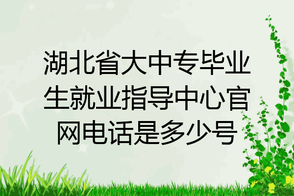 湖北省大中专毕业生就业指导中心官网电话是多少号