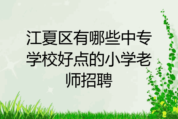 江夏区有哪些中专学校好点的小学老师招聘