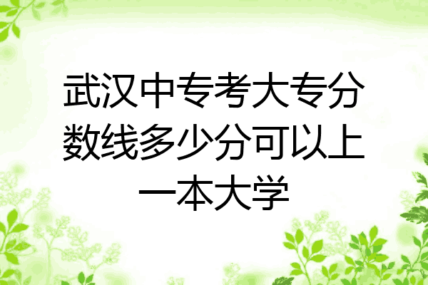 武汉中专考大专分数线多少分可以上一本大学