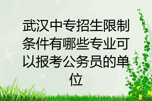 武汉中专招生限制条件有哪些专业可以报考公务员的单位