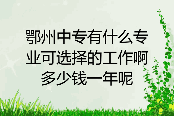鄂州中专有什么专业可选择的工作啊多少钱一年呢