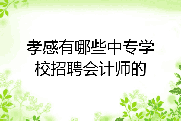 孝感有哪些中专学校招聘会计师的