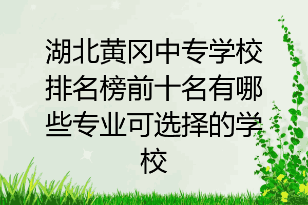 湖北黄冈中专学校排名榜前十名有哪些专业可选择的学校