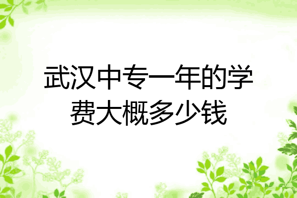 武汉中专一年的学费大概多少钱