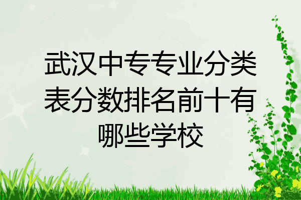 武汉中专专业分类表分数排名前十有哪些学校