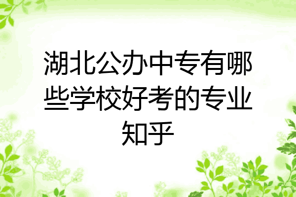 湖北公办中专有哪些学校好考的专业知乎