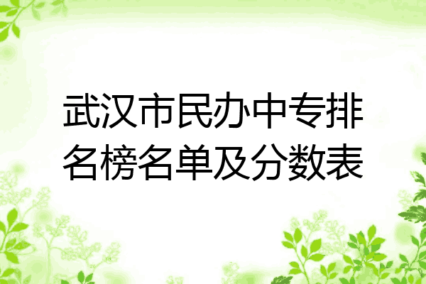 武汉市民办中专排名榜名单及分数表