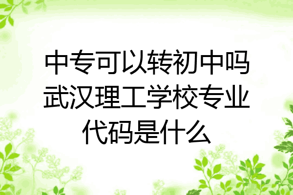 中专可以转初中吗武汉理工学校专业代码是什么