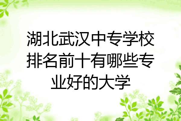 湖北武汉中专学校排名前十有哪些专业好的大学