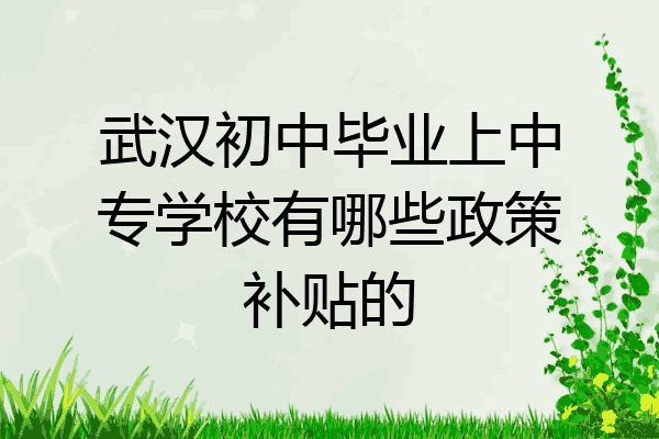 武汉初中毕业上中专学校有哪些政策补贴的