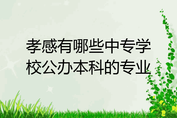 孝感有哪些中专学校公办本科的专业
