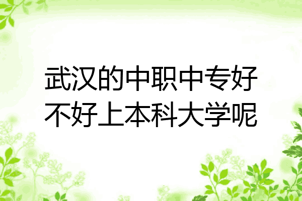 武汉的中职中专好不好上本科大学呢