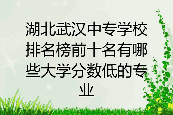 湖北武汉中专学校排名榜前十名有哪些大学分数低的专业