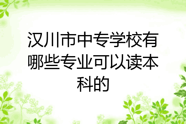 汉川市中专学校有哪些专业可以读本科的