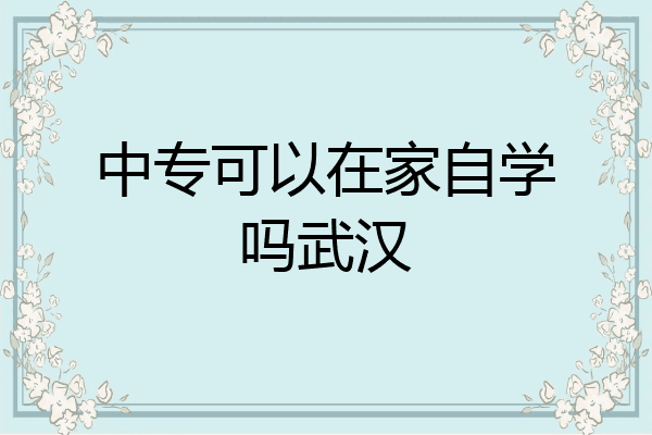 中专可以在家自学吗武汉