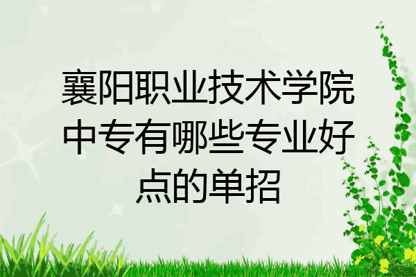 襄阳职业技术学院中专有哪些专业好点的单招