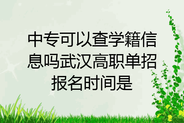 中专可以查学籍信息吗武汉高职单招报名时间是