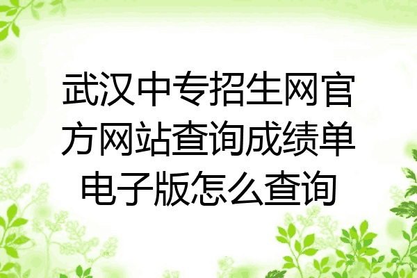 武汉中专招生网官方网站查询成绩单电子版怎么查询