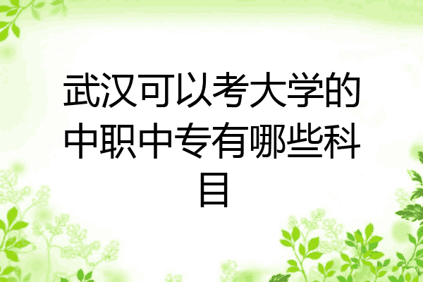 武汉可以考大学的中职中专有哪些科目