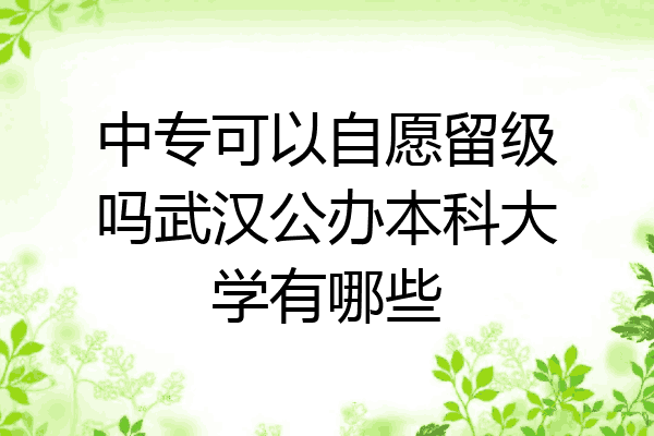 中专可以自愿留级吗武汉公办本科大学有哪些