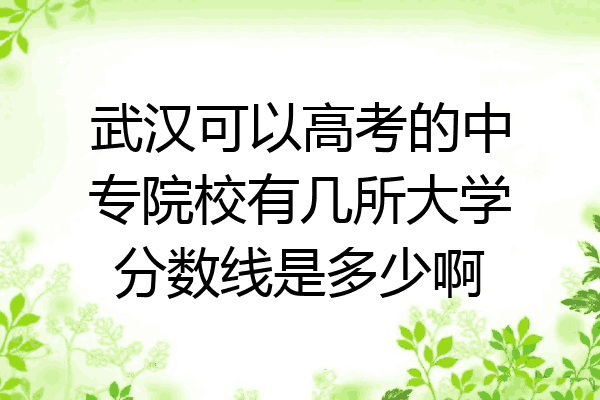 武汉可以高考的中专院校有几所大学分数线是多少啊