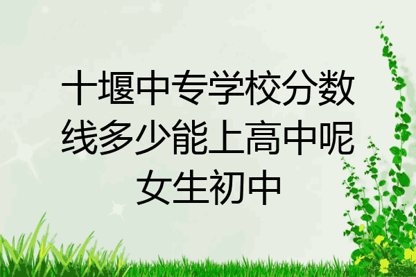 十堰中专学校分数线多少能上高中呢女生初中