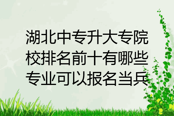 湖北中专升大专院校排名前十有哪些专业可以报名当兵