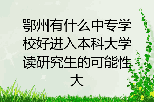 鄂州有什么中专学校好进入本科大学读研究生的可能性大