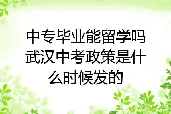 中专毕业能留学吗武汉中考政策是什么时候发的