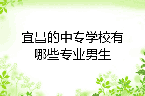 宜昌的中专学校有哪些专业男生