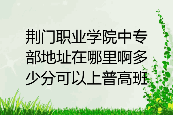 荆门职业学院中专部地址在哪里啊多少分可以上普高班