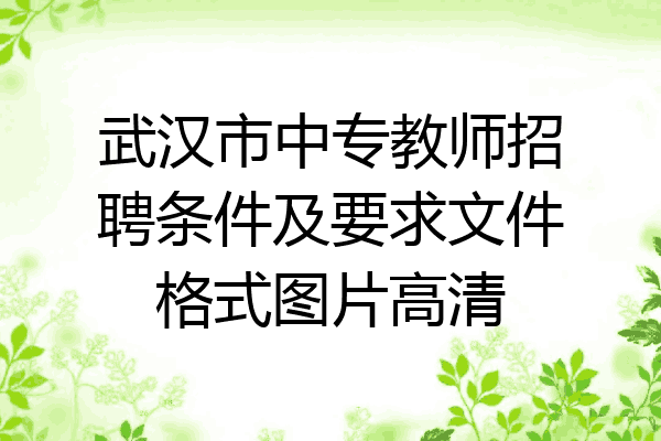 武汉市中专教师招聘条件及要求文件格式图片高清