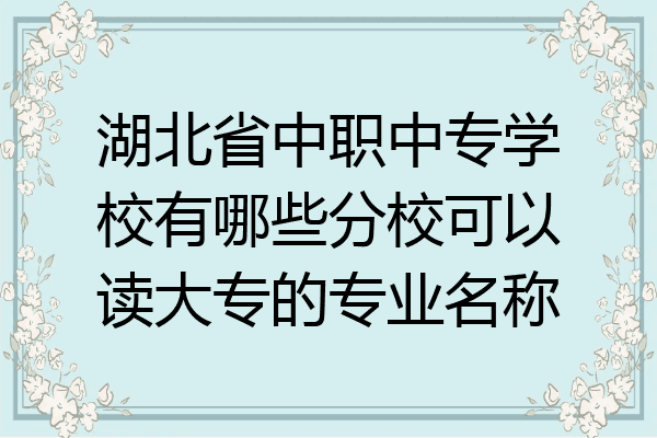 湖北省中职中专学校有哪些分校可以读大专的专业名称