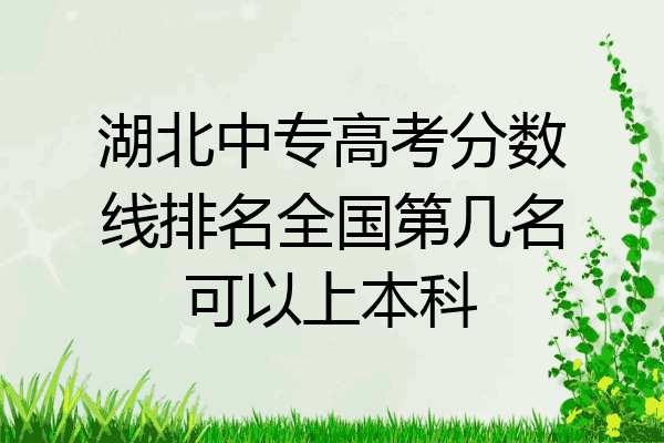 湖北中专高考分数线排名全国第几名可以上本科