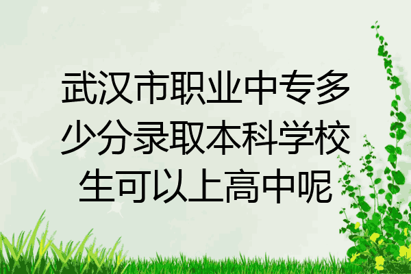 武汉市职业中专多少分录取本科学校生可以上高中呢