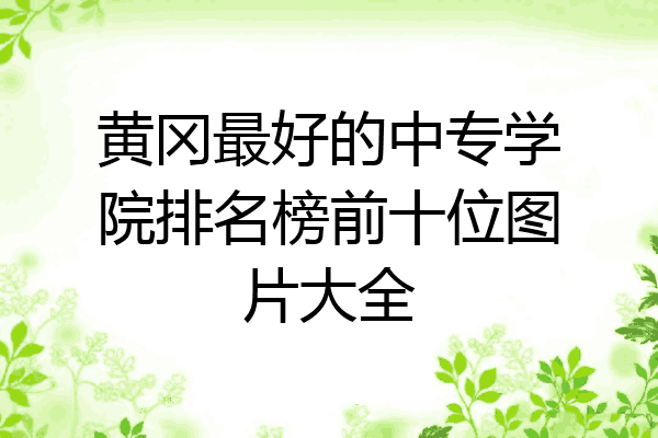 黄冈最好的中专学院排名榜前十位图片大全