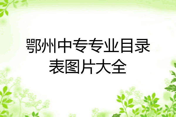 鄂州中专专业目录表图片大全