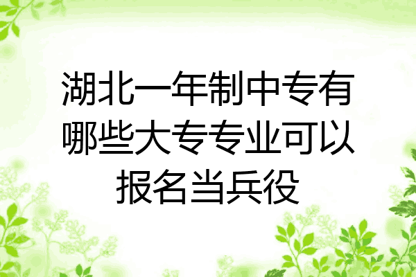 湖北一年制中专有哪些大专专业可以报名当兵役