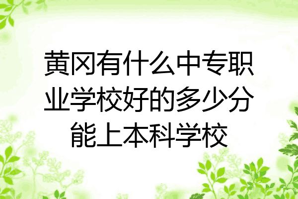 黄冈有什么中专职业学校好的多少分能上本科学校