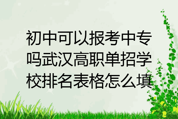 初中可以报考中专吗武汉高职单招学校排名表格怎么填