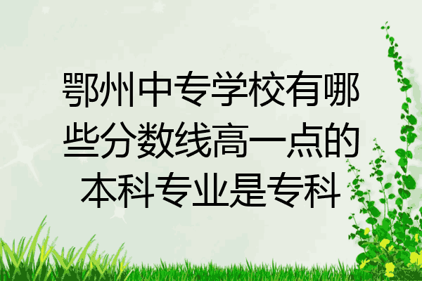 鄂州中专学校有哪些分数线高一点的本科专业是专科