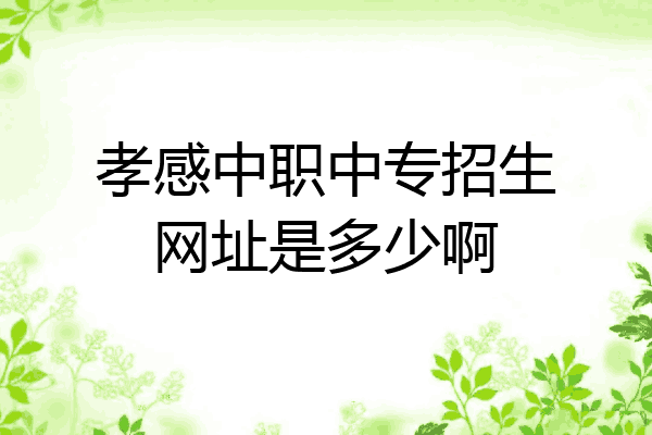 孝感中职中专招生网址是多少啊
