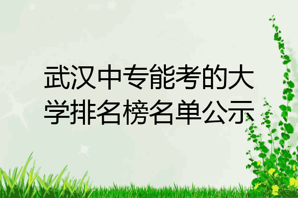 武汉中专能考的大学排名榜名单公示