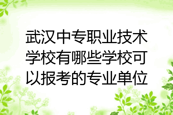 武汉中专职业技术学校有哪些学校可以报考的专业单位