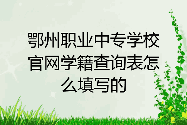 鄂州职业中专学校官网学籍查询表怎么填写的