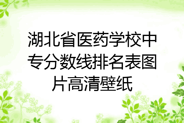湖北省医药学校中专分数线排名表图片高清壁纸