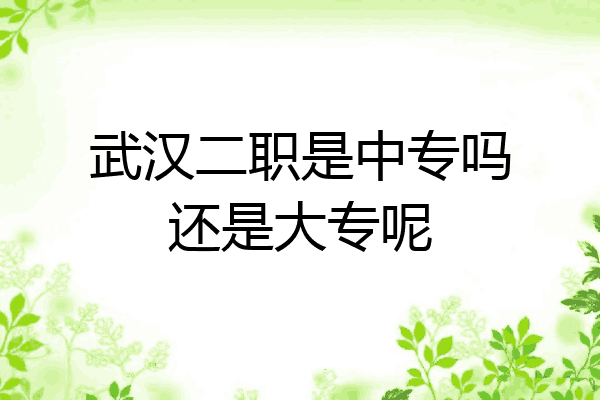 武汉二职是中专吗还是大专呢