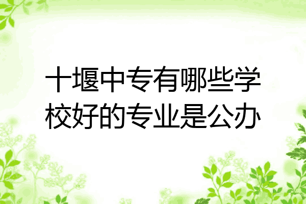 十堰中专有哪些学校好的专业是公办